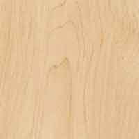 Ontario Maple Colour Swatch, Wood grain Finish for Kitchens & Bedrooms